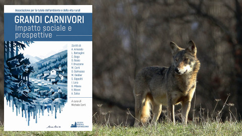 Grandi carnivori: conservazione, conflitto e futuro della vita rurale
