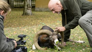 Franco Perco, la conservazione come missione