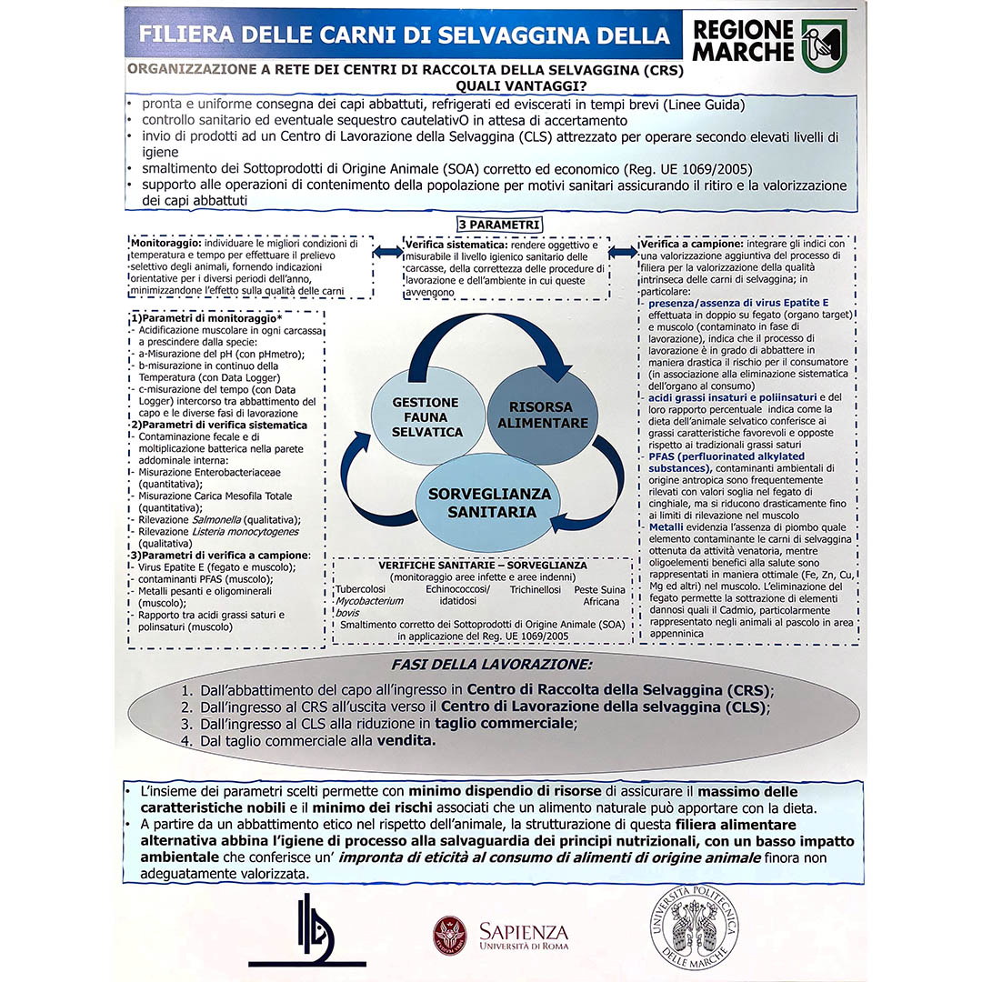 Il poster di Regione Marche e dei suoi partner istituzionali dedicato ai vantaggi derivanti dall'organizzazione a rete dei centri di raccolta della selvaggina