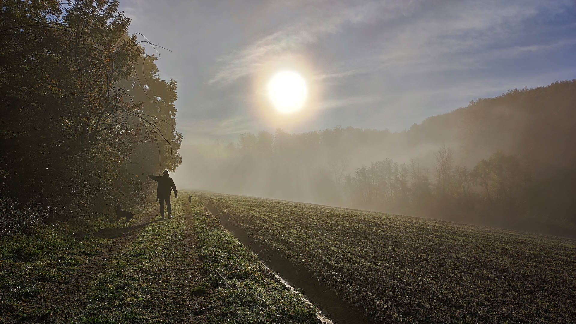 Il fascino della caccia nei mesi freddi in una immagine dai colori e dai sapori decisamente da tardo autunno