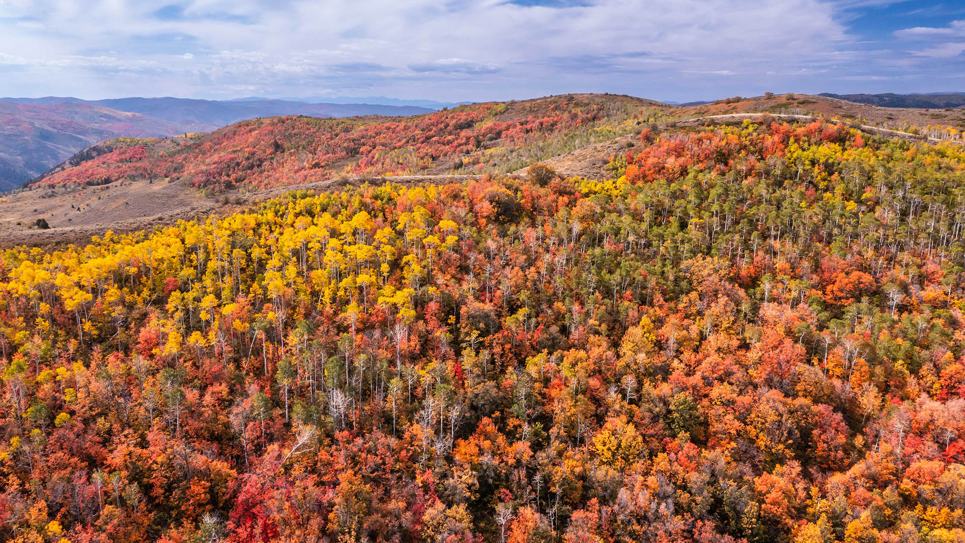 Settembre  un periodo dell'anno meraviglioso per essere negli Stati occidentali e lo Utah  particolarmente bello. I pioppi cambiano dal verde estivo attraverso lo spettro del giallo e poi al rosso cremisi prima di lasciare cadere le foglie per l'inverno