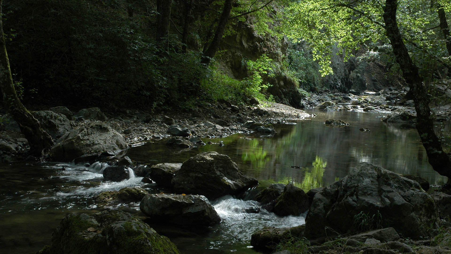 Talvolta l'avvelenamento pu essere causato dalla contaminazione dell'acqua di bevanda