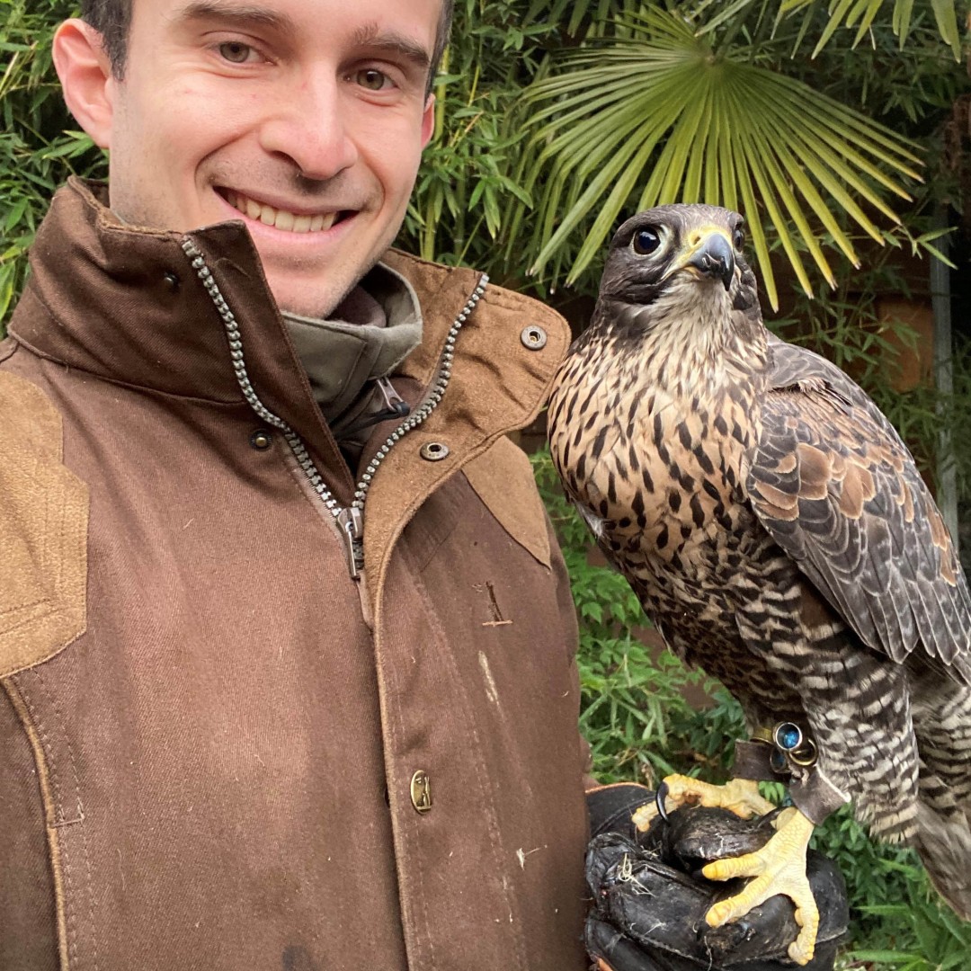 Il legame tra il falconiere e il suo falco pu portare a una maggiore consapevolezza di s e degli altri esseri viventi