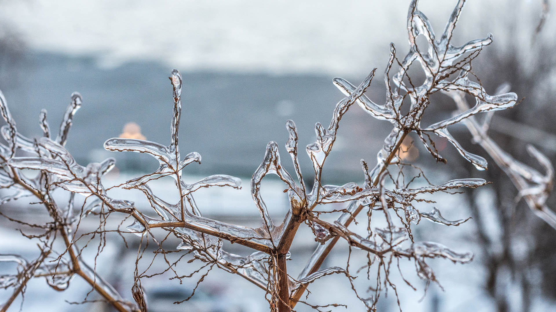 Eventi meteorologici estremi favoriscono il congelamento - a carico delle estremit del corpo - e l'ancora pi grave assideramento