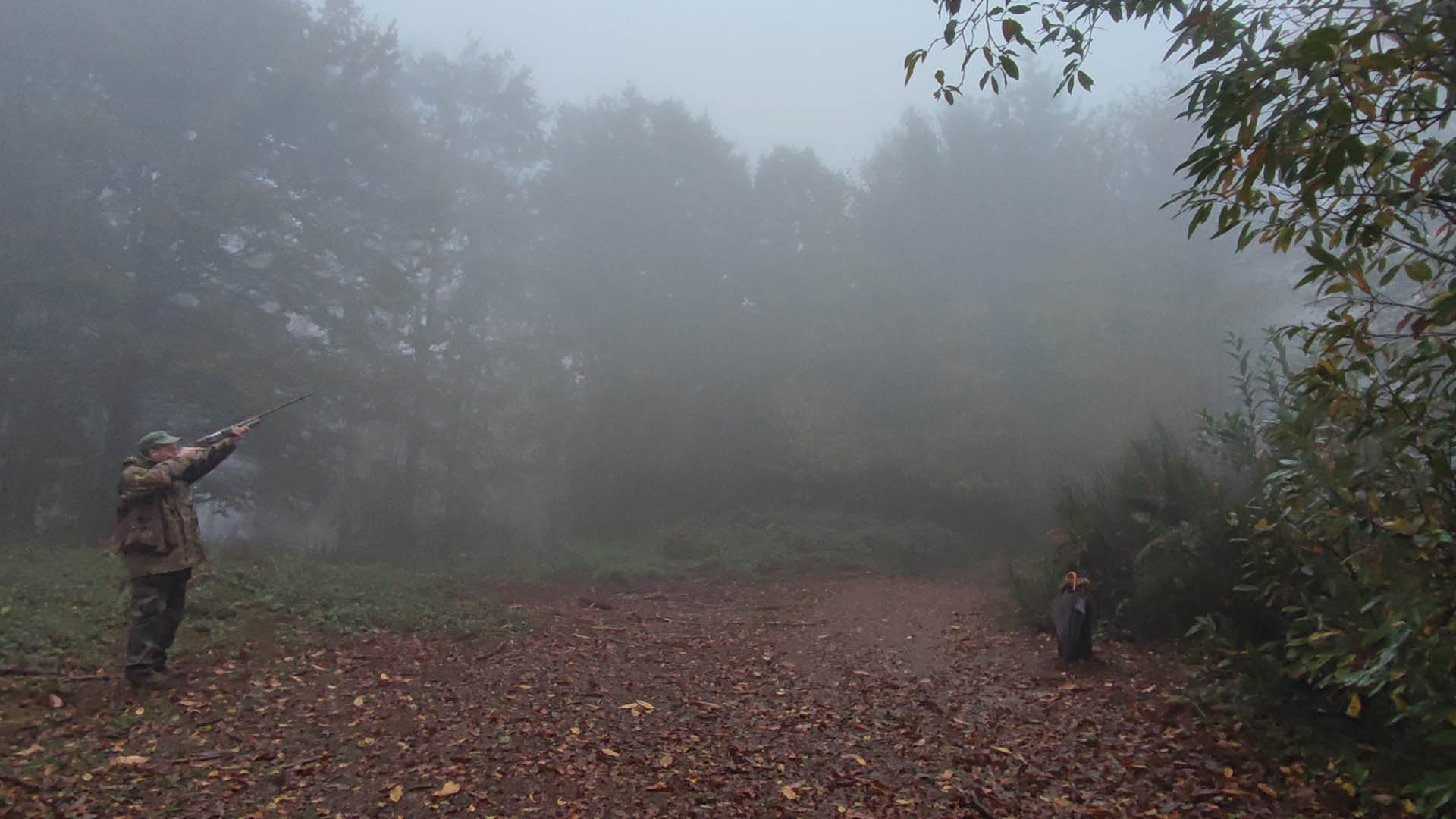 La nebbia può essere un prezioso alleato per il cacciatore, a patto che non sia troppo fitta