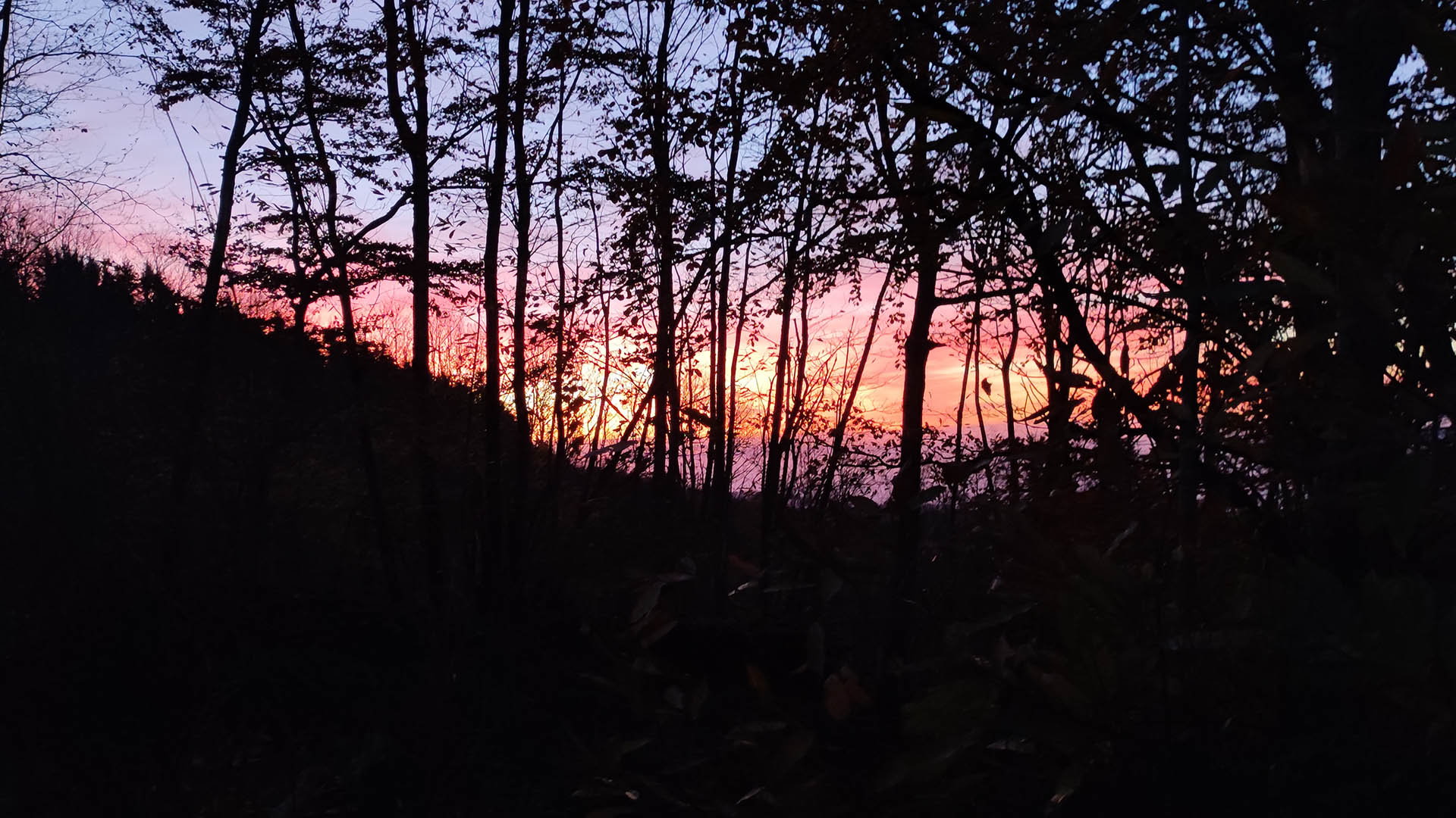 Una meravigliosa alba di ottobre, in attesa dello spollo e di sapere che giornata di passo sarà