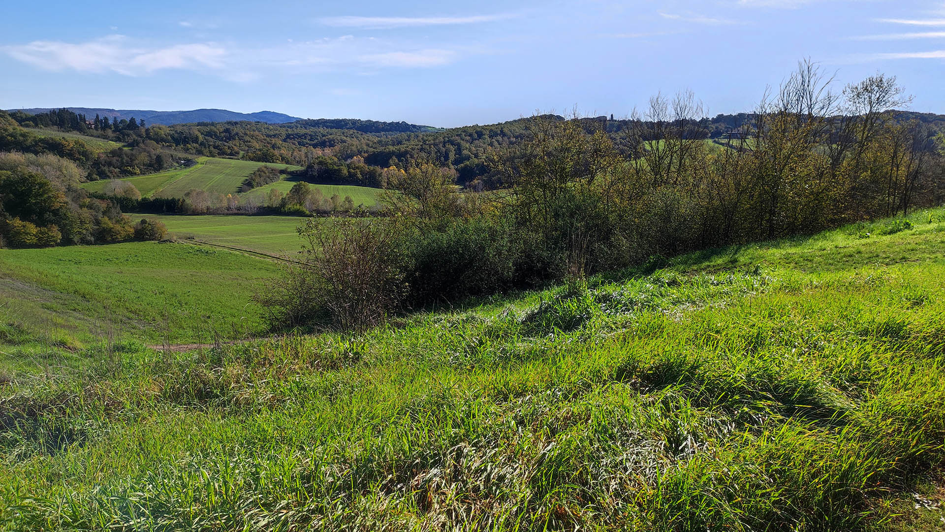 La campagna toscana, sempre meravigliosa e unica, teatro perfetto per memorabili scacce di siepi e boschetti alla ricerca di tordi, merli e anche di qualche gradita sorpresa...