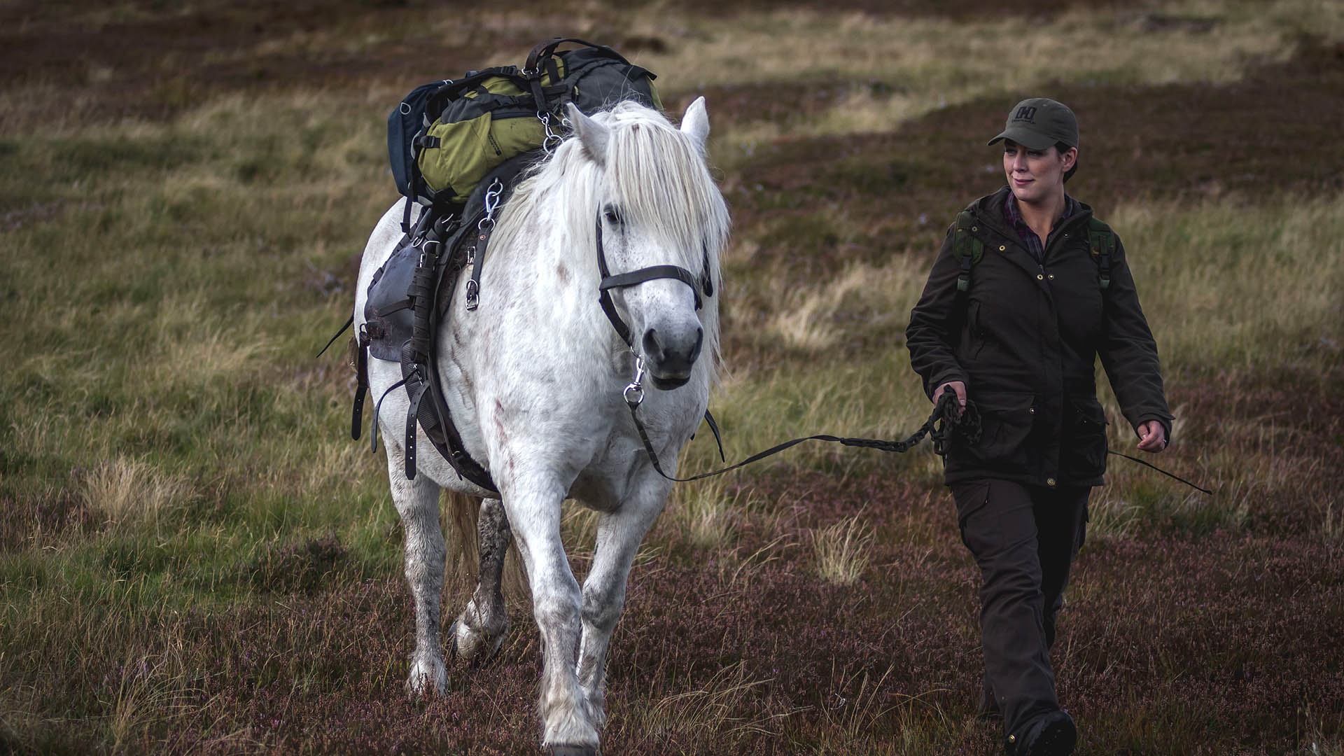 Nelle Highlands scozzesi si sostiene l'antica pratica di utilizzare i pony della razza locale garron per il recupero dei cervi prelevati, riconoscendo la loro agilità e il minimo impatto sul territorio rispetto ai veicoli a motore