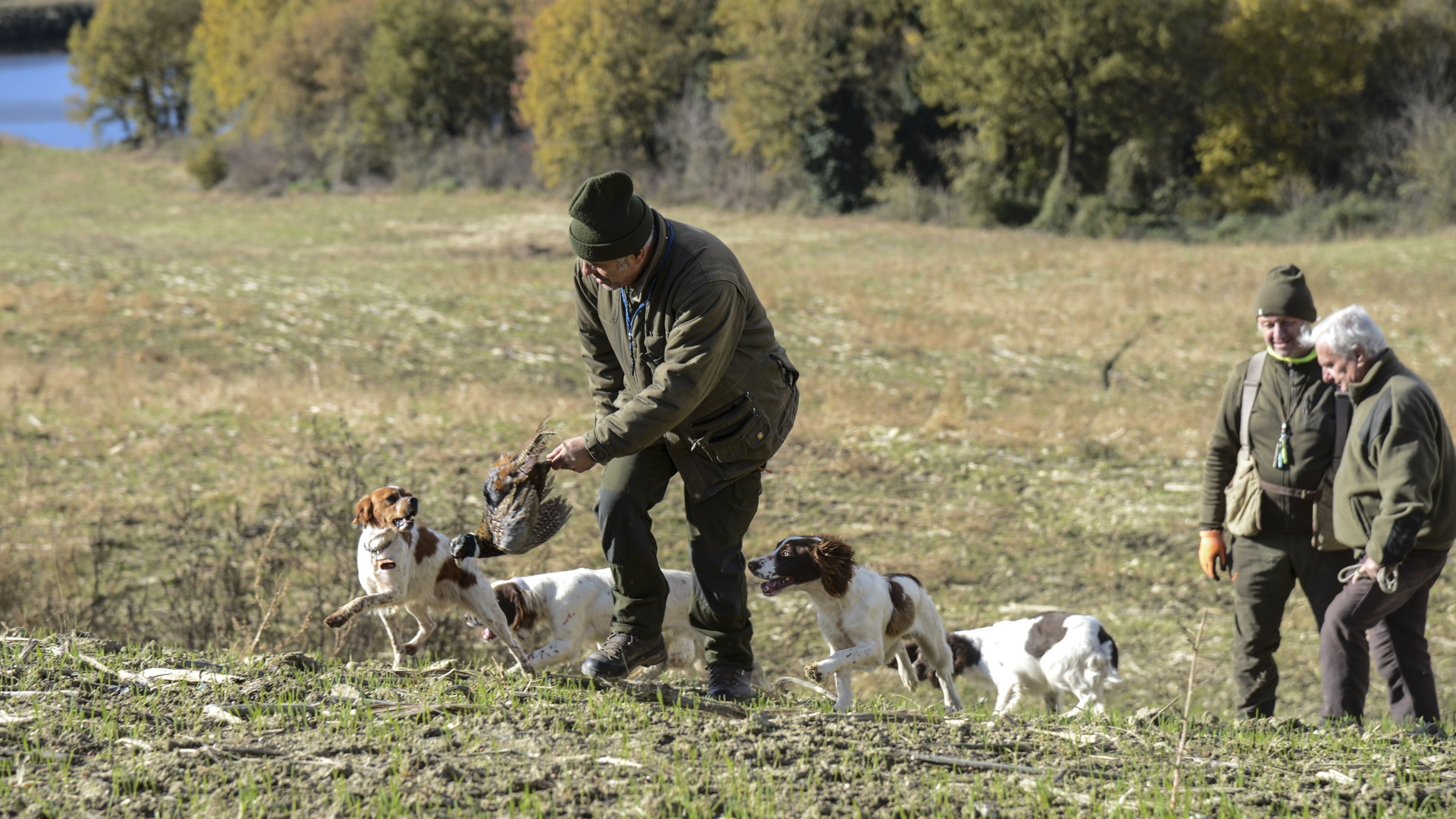 Per il recupero dei selvatici abbattuti in un'area così ampia è indispensabile l'impiego del cane