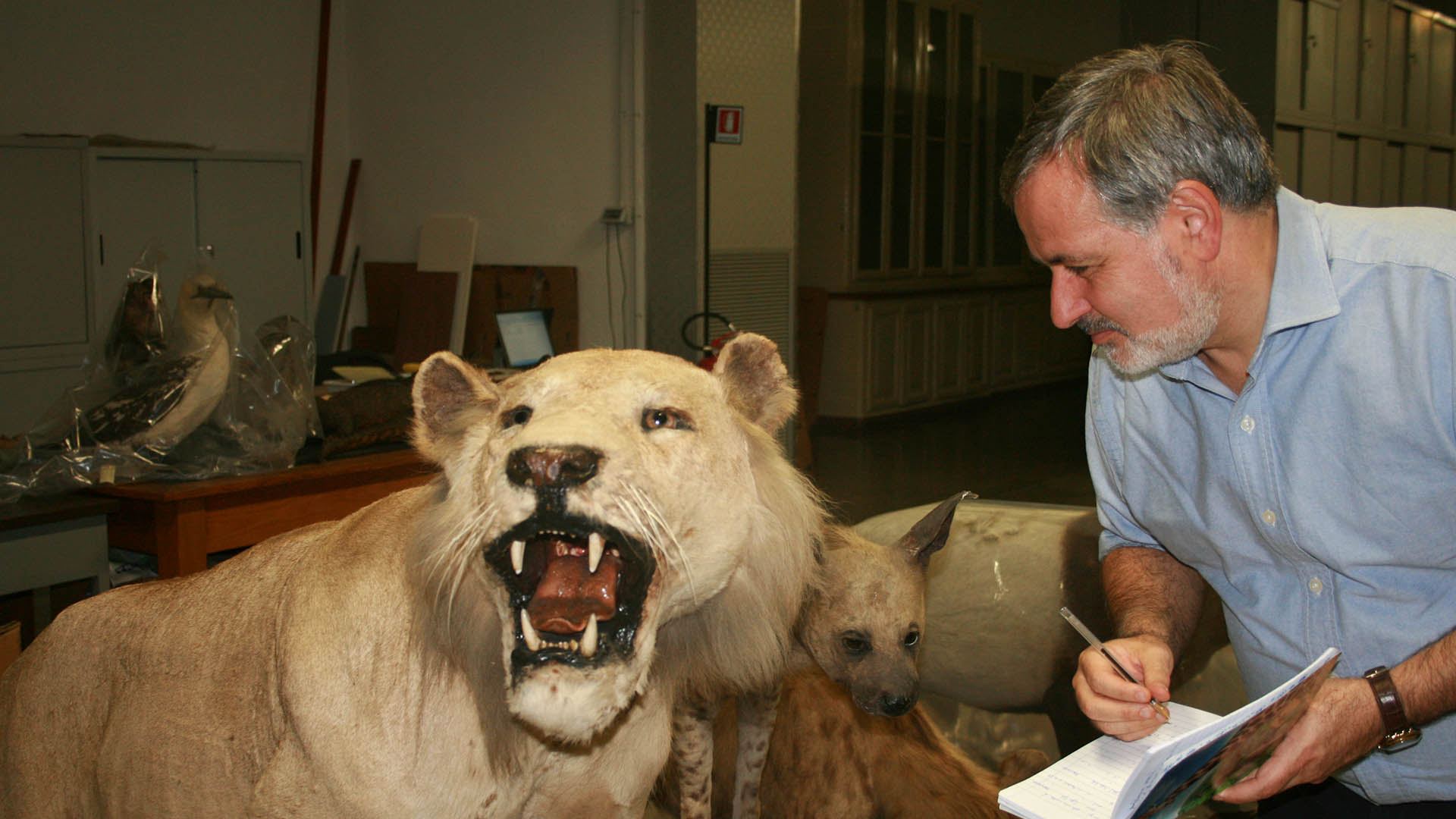 Spartaco Gippoliti non ha perso occasione, negli ultimi due decenni, di fotografare, catalogare e studiare esemplari di grandi mammiferi, prevalentemente africani, al fine di riaccendere la fiamma della ricerca tassonomica nelle austere sale museali