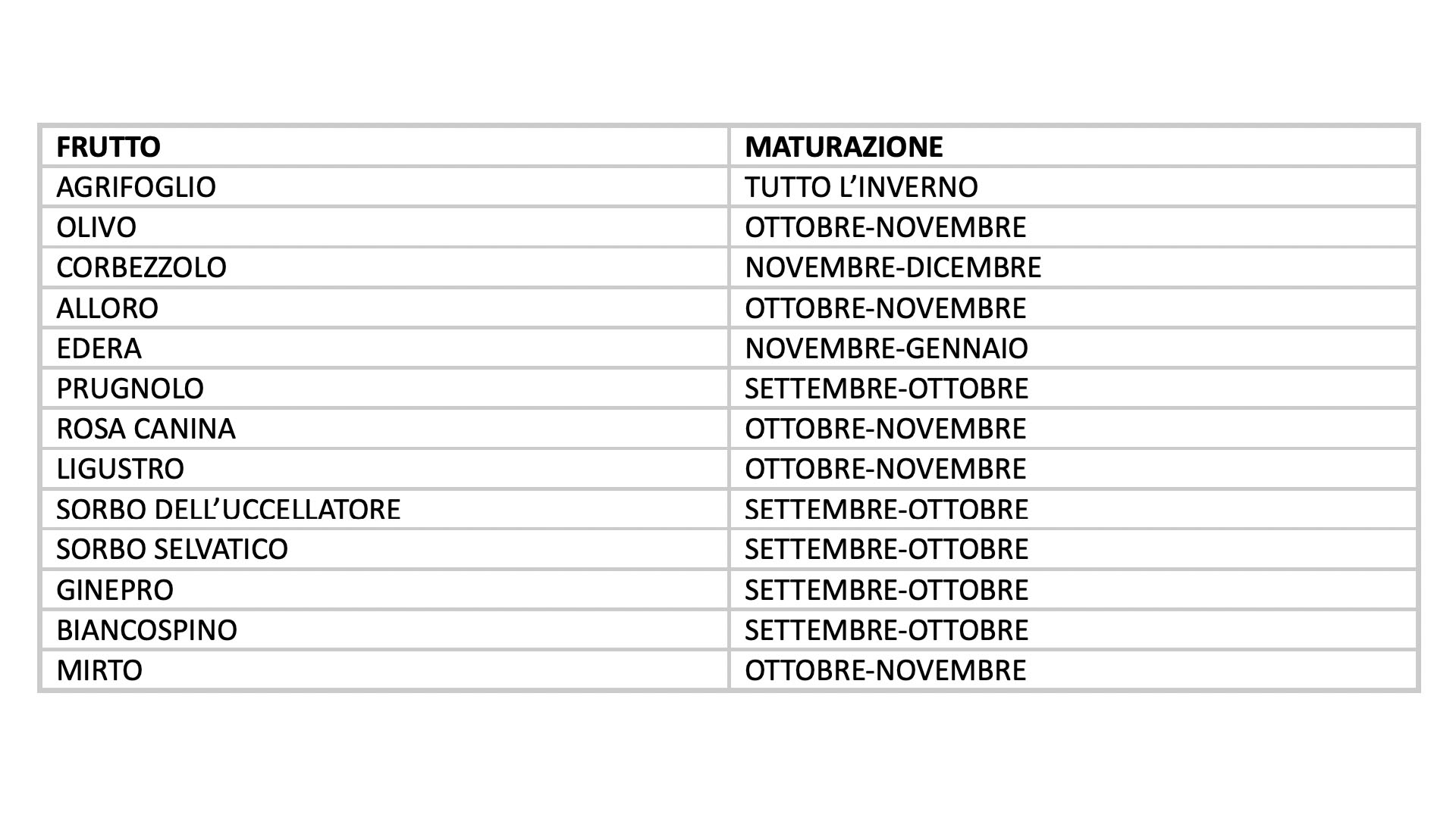 Periodi medi di maturazione di varie essenze fruttifere