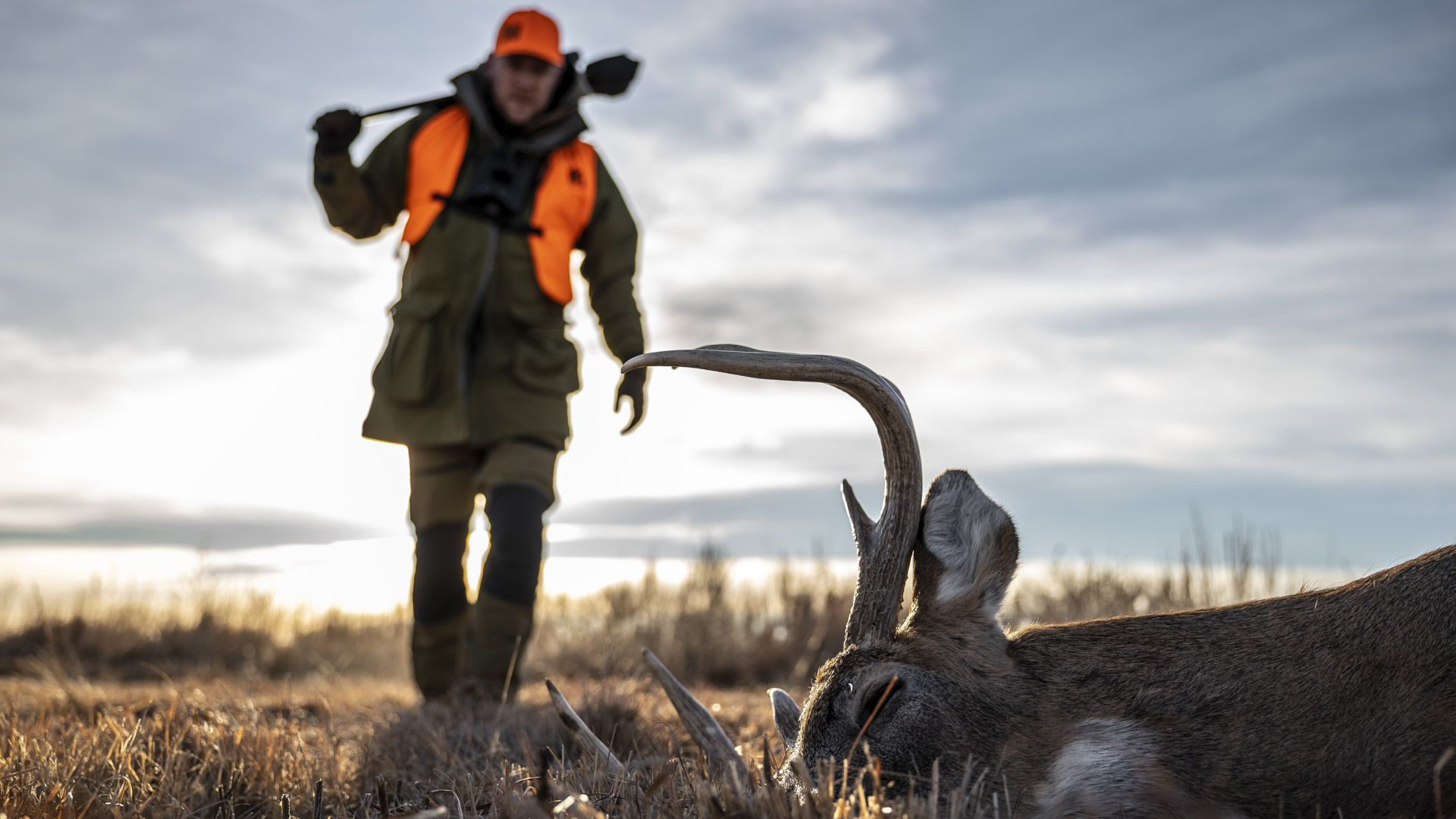 Simon Barr a caccia di cervi dalla coda bianca in Nebraska, nel corso di un'avventura di caccia che ha permesso di sperimentare sia il nuovo calibro .300 Prc sia il munizionamento Hornady Outfitter con la nuova palla CX