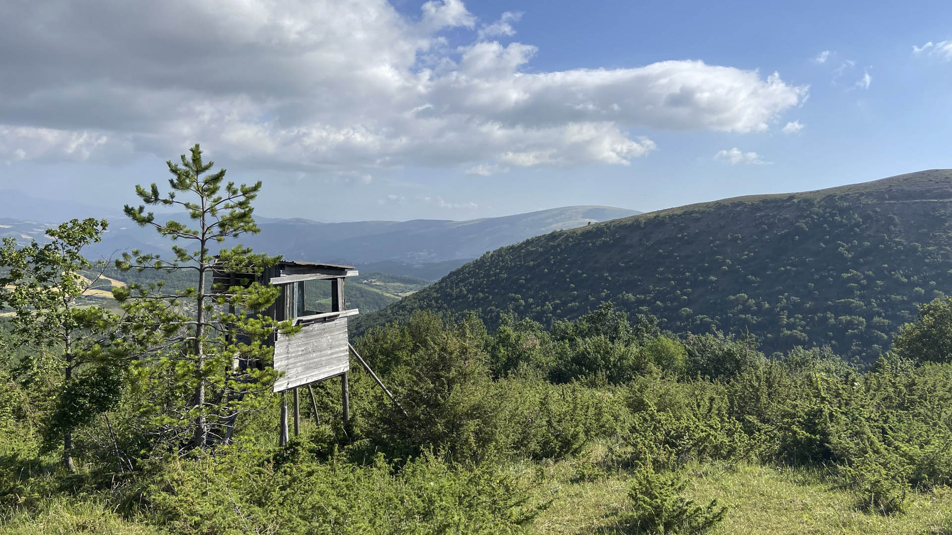 L'azienda Valle di Fiordimonte  un magnete per quanto riguarda la caccia nell'Italia centrale. Situata al confine con i Monti Sibillini, si estende su un territorio aperto, in un susseguirsi di rilievi anche aspri e ampie valli, boschi e coltivi