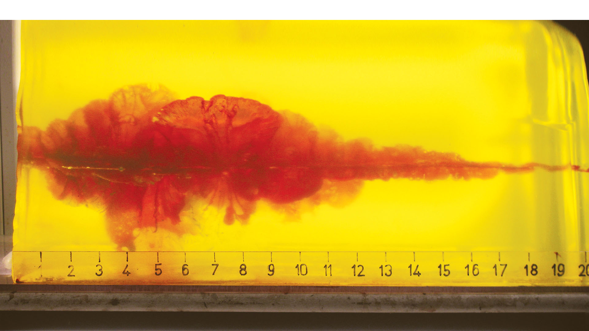 La gelatina balistica consente di visualizzare tutte le componenti che costituiscono il lavoro del proiettile: penetrazione, cavit permanente, cavit pulsante ed eventuale frammentazione. Si tratta comunque di una semplificazione in quanto la gelatina riproduce la consistenza di un tessuto muscolare 