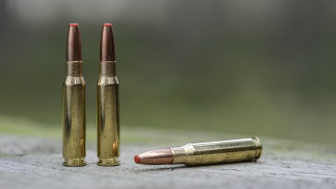 Hornady International ECX, l'atossico per la caccia in battuta