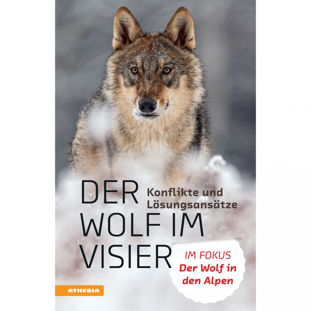 Il volume di Athesia presenta 93 saggi dedicati a vari aspetti della presenza del lupo sulle Alpi: da quelli biologici a quelli gestionali, senza dimenticare la cultura