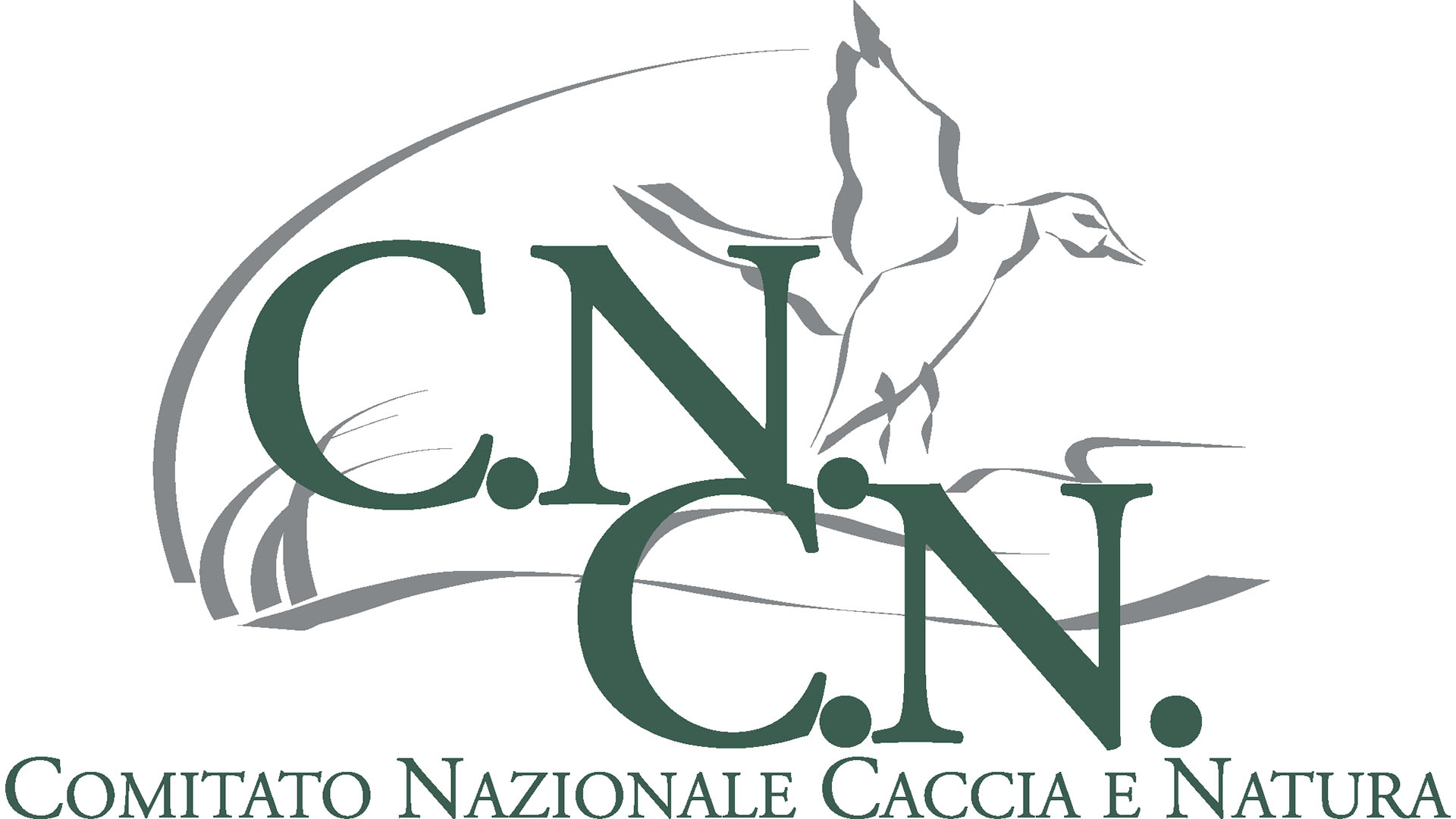 Il Cncn (Comitato nazionale caccia e natura)  un'organizzazione senza scopo di lucro fondata nel 1986 per iniziativa di operatori del settore, cacciatori e dall'associazione industriale del comparto Anpam con lo scopo di promuovere la cultura e la pratica della caccia sostenibile
