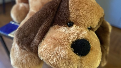 Sar un peluche a salvare i nostri cani dalle fauci del lupo?