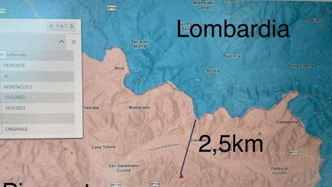 Peste suina sempre pi vicina alla Lombardia