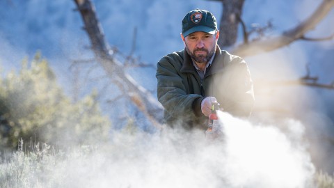 S del Governo allo spray anti-orso, ma solo per i forestali