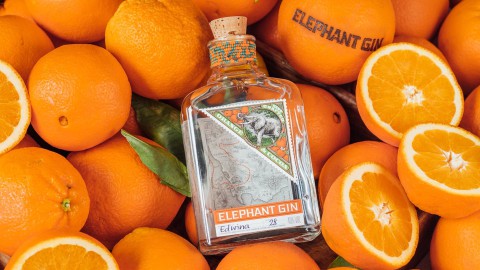 Elephant Gin: Wildlife Warrior Campaign per salvare gli elefanti