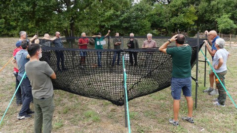 Urca Marche e Comune di Ancona collaborano per gestire il cinghiale