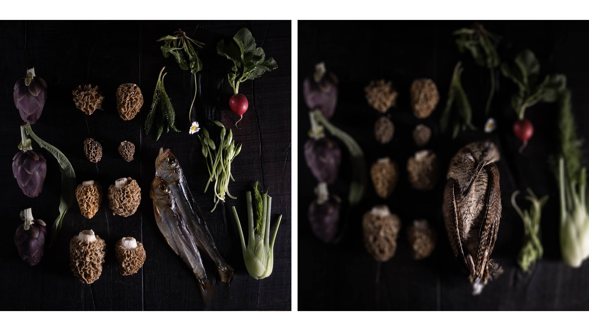 L'offerta gastronomica di Matteo Vergine, cuoco di Grow Restaurant, riguarda le carni cos come le altre proposte del bosco: funghi, bacche e fiori edibili