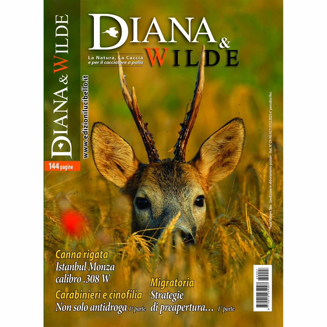 In virt della collaborazione, Hunting Log da oggi cura su Diana & Wilde la sezione dedicata alla caccia di selezione e, beneficiando della rete di collaboratori di Diana & Wilde, pu ampliare la variet delle tematiche trattate sul sito