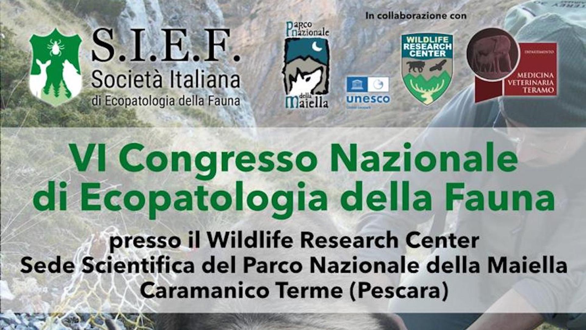 L'evento rappresenta il principale appuntamento a livello nazionale nel campo dell'ecopatologia della fauna