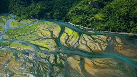 La biodiversità diminuisce più rapidamente nelle aree protette