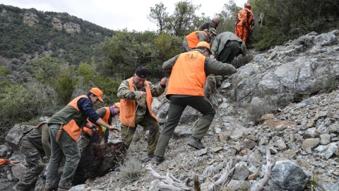 Fidc Toscana-UCT si appella al Commissario per salvare la braccata