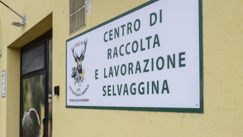 Urca Puglia: incontro su valorizzazione carne di selvaggina e filiera